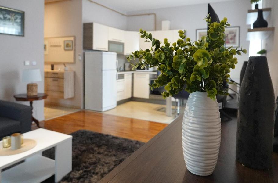 Apartman Gundulic فينكوفسي المظهر الخارجي الصورة